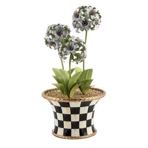 MacKenzie-Childs Botany Potted Hyacinth Arrangement