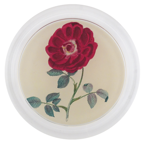 John Derian Rose 1 6" Coaster