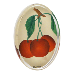 https://www.janeleslieco.com/products/john-derian-early-richmond-cherries-oval-paperweight