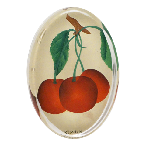 https://www.janeleslieco.com/products/john-derian-early-richmond-cherries-oval-paperweight