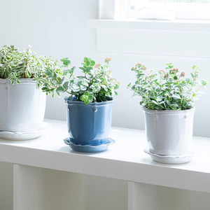 https://www.janeleslieco.com/products/juliskia-berry-thread-whitewash-5-25-planter