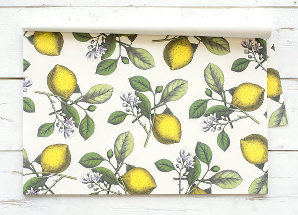 Hester and Cook Lemons Placemats