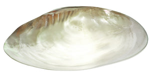 https://www.janeleslieco.com/products/sea-shell-with-feet