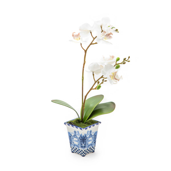 https://www.janeleslieco.com/products/mackenzie-childs-royal-toile-potted-orchid-small