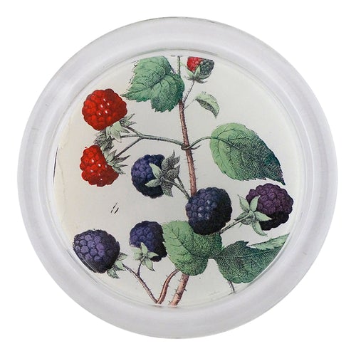 John Derian Mixed Berries 4" Coaster