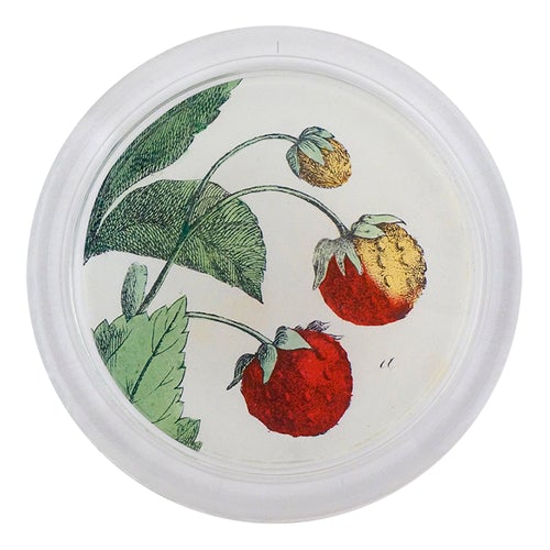 John Derian Strawberries 4" Coaster