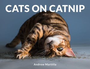 https://www.janeleslieco.com/products/cats-on-catnip