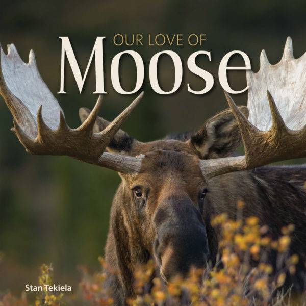 https://www.janeleslieco.com/products/our-love-of-moose