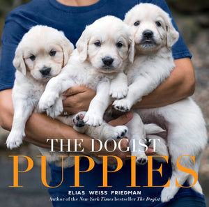 https://www.janeleslieco.com/products/the-dogist-puppies
