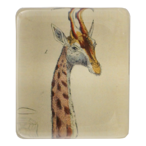 https://www.janeleslieco.com/products/john-derian-giraffe-charm-paperweight