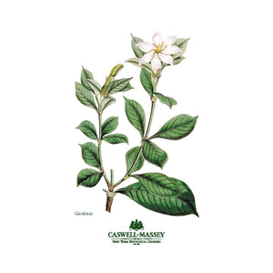 https://www.janeleslieco.com/products/caswell-massey-nybg-gardenia-50ml-edt