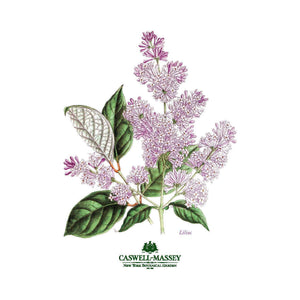 https://www.janeleslieco.com/products/caswell-massey-nybg-lilac-50ml