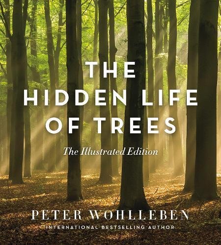 https://www.janeleslieco.com/products/the-hidden-life-of-trees-the-illustrated-edition