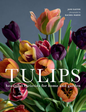 https://www.janeleslieco.com/products/tulips-beautiful-varieties