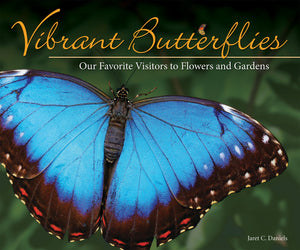 https://www.janeleslieco.com/products/vibrant-butterflies