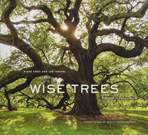 https://www.janeleslieco.com/products/wise-trees
